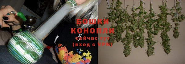 таблы Дмитриев