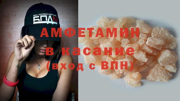 шишки Дмитров