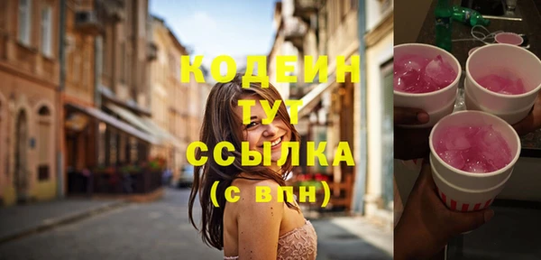 шишки Дмитров
