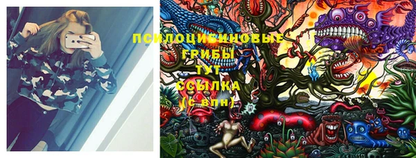 таблы Дмитриев