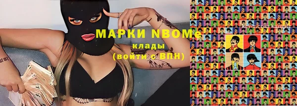 шишки Дмитров