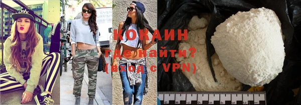 шишки Дмитров