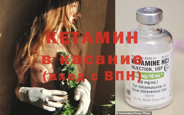 шишки Дмитров