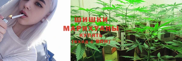 шишки Дмитров