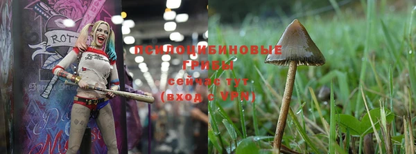 мяу мяу мука Дмитровск
