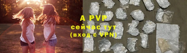 шишки Дмитров