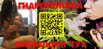 PSILOCYBIN Заволжье