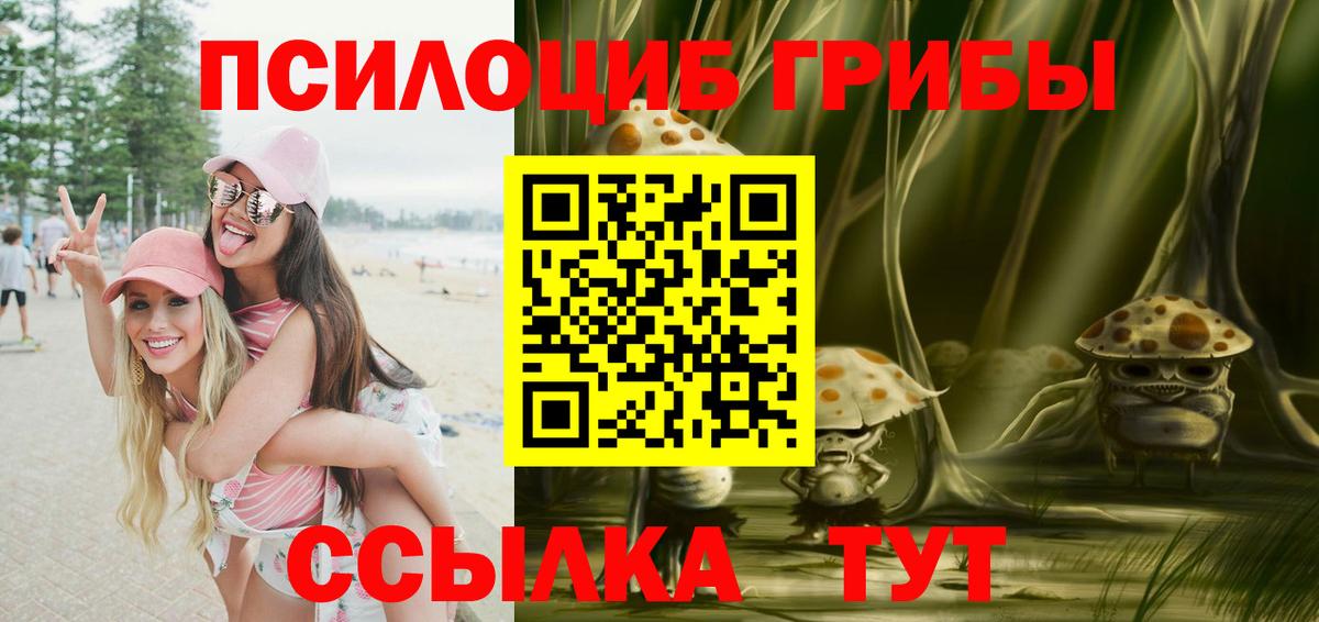 Псилоцибиновые грибы Cubensis  Вход с VPN  Михайловка 